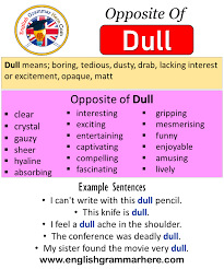 Opposite Of Dull Antonyms Of Dull Meaning And Example Sentences Antonym Opposite Words Contradict Each Other And Opposite Words Opposite Words List Sentences