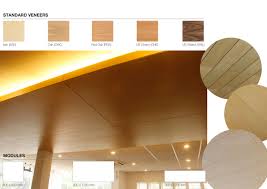 Pin On Ceiling B