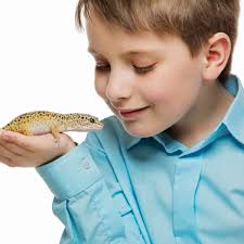 Do Kids and Adults Value Animal Lives Differently?