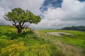 This local favorite sunset and sunrise spot can be stunning at sunset when the clouds light up. One Day Pune To Lonavala Trip By Cab Price Itinerary