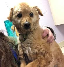 Update- Home pending!...