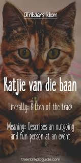 Pin On Afrikaansmyhart