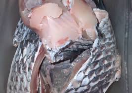 Sisik meaning from turkish to english, what is sisik english to turkish sözcük çevir. Resep Cara Mengupas Sisik Ikan Tanpa Pisau Oleh Riana Rasyahlee Cookpad