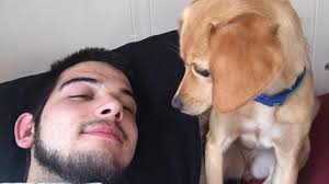 What breed is she mixed with? Chihuahua and possibly golden retriever