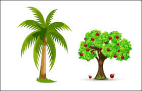 Terutama tentang pendidikan matematika yang. Soal Matematika Kelas 1 Sd Bab 3 Pengukuran Waktu Dan Panjang Www Bimbelbrilian Com Proprofs Quiz