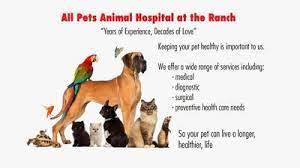 Pet friendly hotels in bradenton bradenton hotels with a pool. All Pets Animal Hospital At The Ranch 11105 Corridor Place Bradenton Reviews And Appointments Topvet