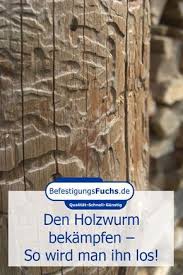 Holzwurm Bekampfen So Wird Man Ihn Los Holzwurm Holzwurmer Bekampfen Holz