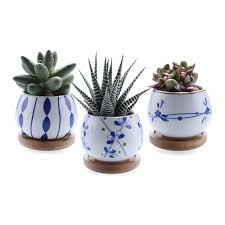 Succulent Planter Succulent Pot Ceramic Planter Set Small Etsy Ceramic Succulent Pots Small Cactus Plants Ceramic Plant Pots