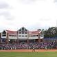 South Florida Bulls at Florida Gators Softball