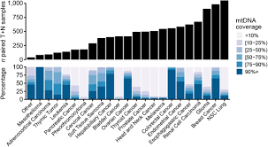 However, as with other types of cancer,. Respiratory Complex And Tissue Lineage Drive Mutational Patterns In The Tumor Mitochondrial Genome Biorxiv