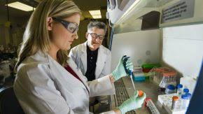 Louis found that among people with glioblastoma—an aggressive form of brain cancer—tumors with higher nampt. New U S Overtime Rules Will Bump Up Postdoc Pay But Could Hurt Research Budgets Science Aaas