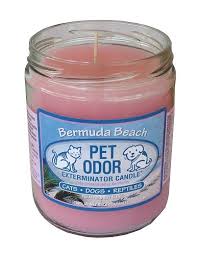 A sweet and entrancing combination of tropical fruits, sensuous patchouli, white musk, sweet watermelon, and tart green apples. Bermuda Beach Pet Odor Exterminator Candle Buy Online In Guernsey Pet Odor Exterminator Candle Products In Guernsey See Prices Reviews And Free Delivery Over 50 00 Desertcart