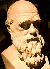 Lomas de Villa María del Triunfo: Amancaes: Flor emblemática de las lomas  fue vista por Charles Darwin en 1859