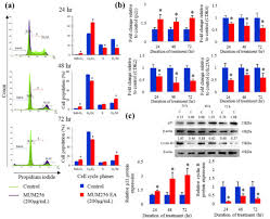 If you have any problems, please do not hesitate to contact us. Cancers Free Full Text Streptomyces Sp Mum256 A Source For Apoptosis Inducing And Cell Cycle Arresting Bioactive Compounds Against Colon Cancer Cells Html