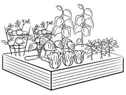 Whether you are growing a backyard or balcony vegetable garden, using these vegetable garden worksheets, vegetable gardening diary, zone chart, and vegetable garden planting guide is a fun and quick way to help you get organized. Gardens Coloring Pages Coloring Pages For Kids And Adults