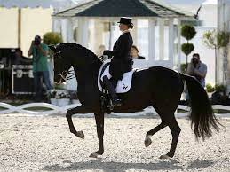 Isabell werth and weihegold old's 2017 grand prix special was nothing short of.special! Mannheim Weihegold Und Isabell Werth Siegen Im Grand Prix