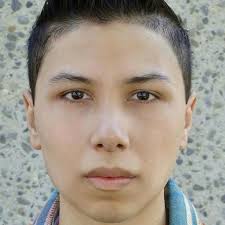 Watch Firefall: An Epic Family Adventure (2012) Full Movie Online