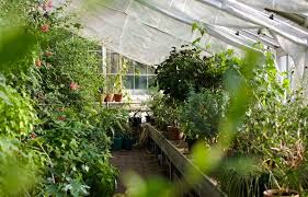 Maybe you would like to learn more about one of these? Greenhouse Temperature Considerations Aer Industries