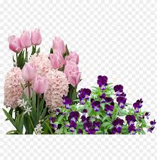 There are so many spring plants traditionally associated with. Easter Flowers Png Image With Transparent Background Toppng