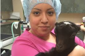 Pima Medical Institute