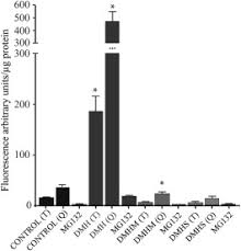 Image result for Macrotyloma maranguense