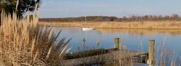 Henry Weisgerber, Jr. Obituary