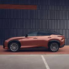 Image result for Copper Crest 2024 RZ