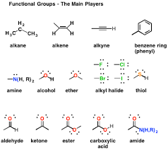Functional Groups In Organic Chemistry Functional Group