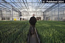 Roses, lilies, orchids, carnations, gift baskets Dutch Flower Auction Long Industry S Heart Is Facing Competition The New York Times