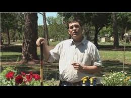Howard is an expert on the natural way of living. Bug Control How To Make A Vinegar Home Remedy For Garden Pests Youtube