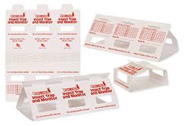 6.set traps in your home. Spider Traps 9 Best Selling Spider Traps How To Use Them Pest Wiki