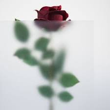 Plexiglas® zuschnitt im großen sortiment hier im online shop nach wunschmaß bestellen und liefern lassen. Acrylglas Satiniert Nach Mass Zuschnitt Online Kaufen Glas Selection