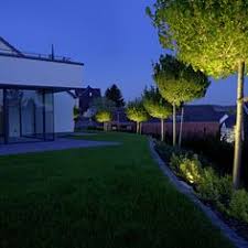 Effektvolle Anstrahlung Von Kleinen Bis Mittelgrossen Baumen Und Buschen Durch Spiessstrahler Oder Durch Beleuchtung Garten Garten Und Outdoor Gartenbeleuchtung