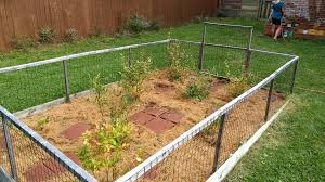 This is easily accomplished by adding an alkaline soil amendment. Pine Needle Mulch On The Blueberries Gardening