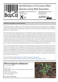 Image result for Microstegium fasciculatum