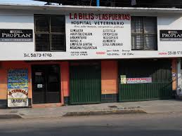 Veterinaria La Bilis