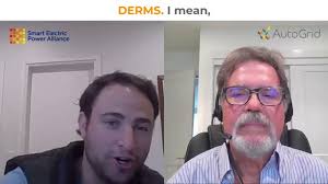 A Chat with Jared Leader of SEPA: A Unifying Force for Clean Energy