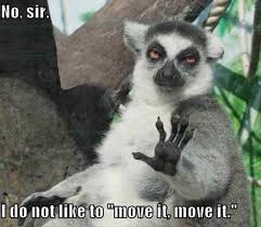 Animal House Funny Movie Quotes. QuotesGram via Relatably.com