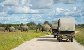 It spans an area of 22,270 km2 (8,6. Etosha National Park A Self Drive Safari In Namibia Wandering Wheatleys