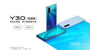 vivo Y30 Standard Edition: all about ...
