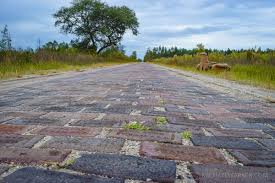 Florida S Ghost Highway The Old Brick Road Brick Road Florida Travel Florida Vacation
