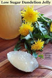 Dandelion Jelly Easy Flower Jelly Recipe With Less Sugar Recipe Jelly Recipes Dandelion Jelly Dandelion Recipes