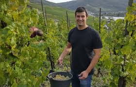 Check spelling or type a new query. Willi Schaefer Skurnik Wines