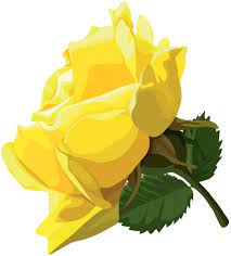 Yellow Rose Png Clip Art Art Yellow Roses Clip Art