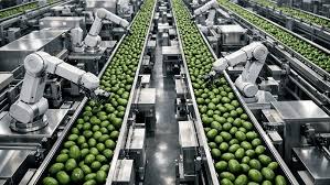 Kenyan farming community