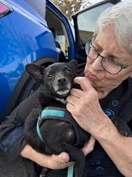 Thanks for letting me join the group. We have a Schipperke mix rescue dog. 