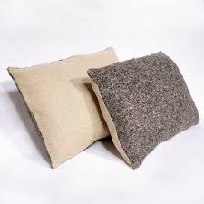 NOMAD — ALT for Living