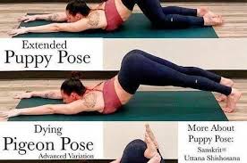 Yoga Asanas Images With Names In Hindi Easy Yoga Workouts Yoga Fitness Yoga Help