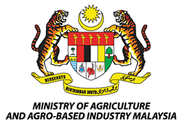 Mengenai rakaman insiden itu, pemuda yang bertugas di lembaga kemajuan perindustrian malaysia (mida) itu tidak menduga video tersebut akan mendapat perhatian netizen. Ministry Of Agriculture And Agro Based Industry Malaysia Moa Site Info
