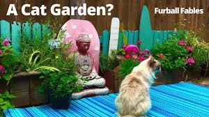 Cat friendly solutions for unowned cats. How To Create A Cat Friendly Garden Youtube